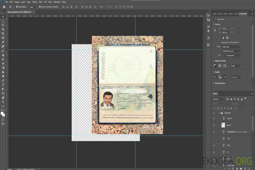 Look photo du passeport algérien template
